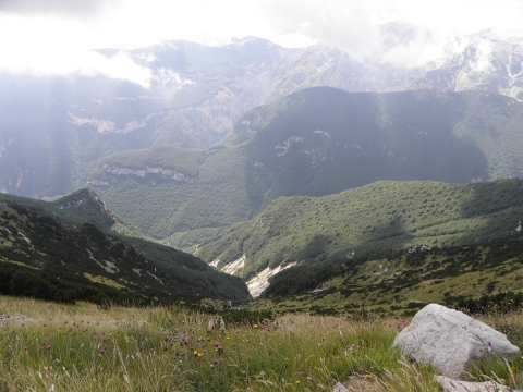 Bilder für Wikipedia