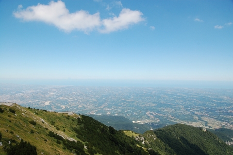 Bilder für Wikipedia