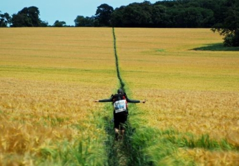 Via Francigena, tratto toscano