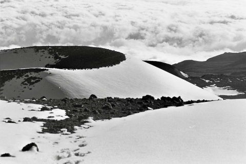 03_27_sci02