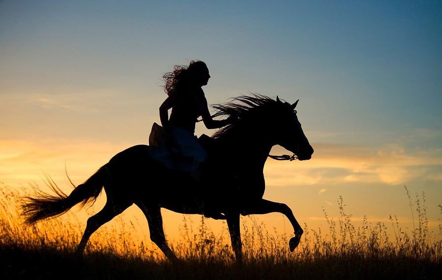 21-09_equitazione2