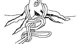 nodi_clip_image010