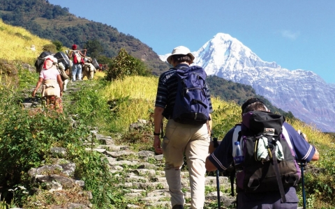oyster_trekking_02