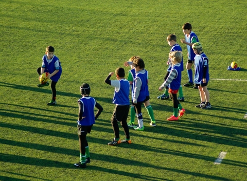 rugby-591686_1920